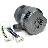 117416-51 Ametek Windjammer Brushless Blower 5.7" 240VAC 87CFM 169 in.H2O Bypass Mechanical Closed Loop_Optimal Distribution