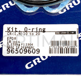 96509609 Grundfos Gasket/O-ring Kit EPDM for CR/I/N 10/15/20